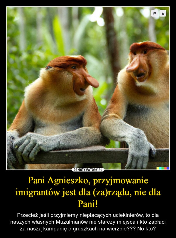 
    Pani Agnieszko, przyjmowanie imigrantów jest dla (za)rządu, nie dla Pani!