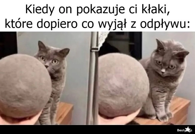 
    Włosy 