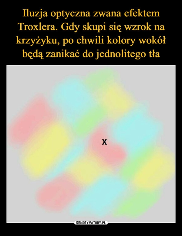 
    Iluzja optyczna zwana efektem Troxlera. Gdy skupi się wzrok na krzyżyku, po chwili kolory wokół będą zanikać do jednolitego tła