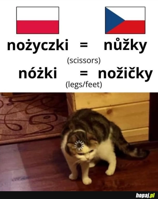 
    Fałszywi przyjaciele