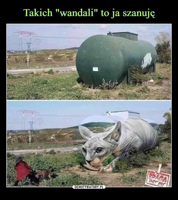 
    Takich "wandali" to ja szanuję 