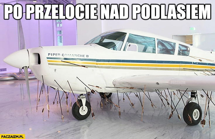 
    Samolot po przelocie nad Podlasiem cały w strzałach z łuku