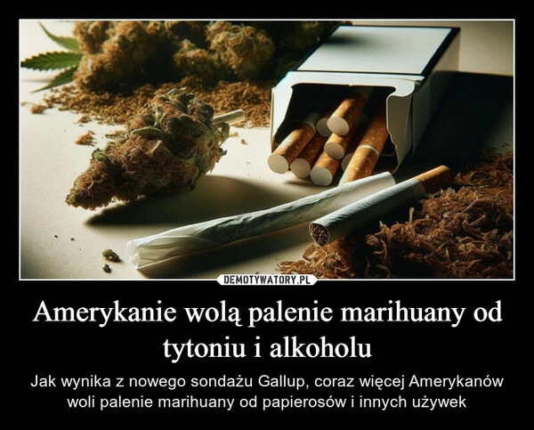 
    Amerykanie wolą palenie marihuany od tytoniu i alkoholu