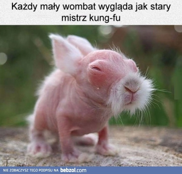 
    Każdy
