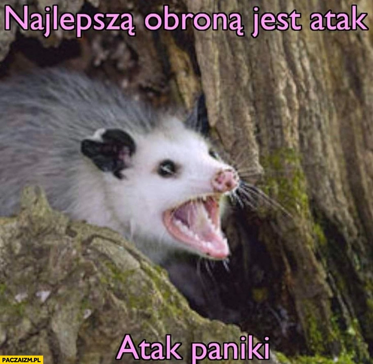 
    Najlepszą obroną jest atak paniki