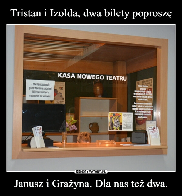 
    Tristan i Izolda, dwa bilety poproszę Janusz i Grażyna. Dla nas też dwa.