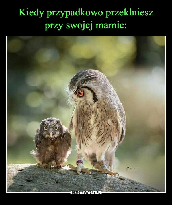 
    Kiedy przypadkowo przeklniesz
przy swojej mamie: