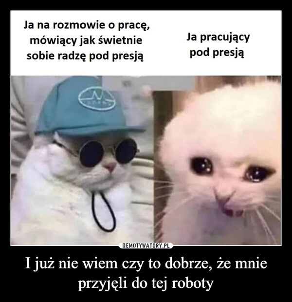 
    
I już nie wiem czy to dobrze, że mnie przyjęli do tej roboty 