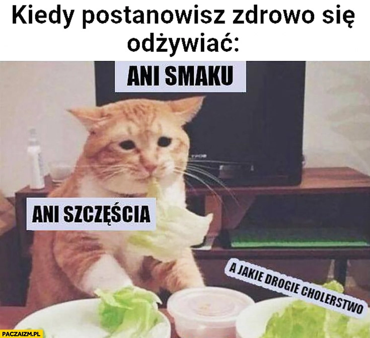 
    Kiedy postanowisz zdrowo się odżywiać: ani smaku, ani szczęścia a jakie drogie cholerstwo smutny kot