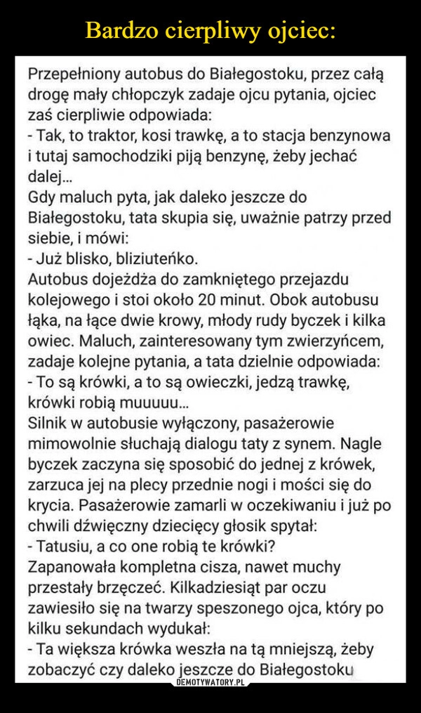 
    Bardzo cierpliwy ojciec: