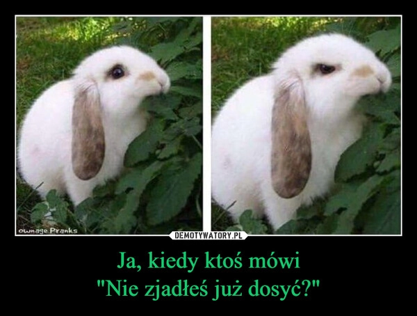 
    Ja, kiedy ktoś mówi
"Nie zjadłeś już dosyć?"