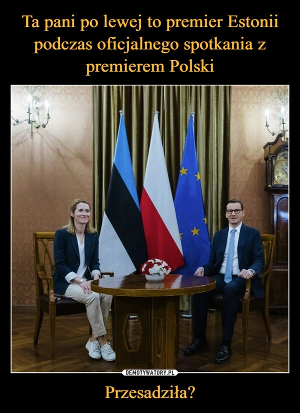 
    Ta pani po lewej to premier Estonii podczas oficjalnego spotkania z premierem Polski Przesadziła?