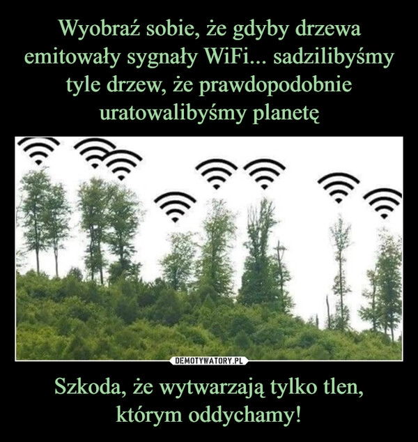 
    Wyobraź sobie, że gdyby drzewa emitowały sygnały WiFi... sadzilibyśmy tyle drzew, że prawdopodobnie uratowalibyśmy planetę Szkoda, że wytwarzają tylko tlen,
którym oddychamy!