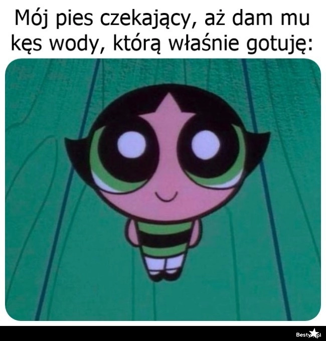 
    No weź się podziel 