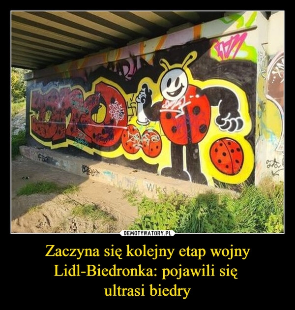 
    Zaczyna się kolejny etap wojny Lidl-Biedronka: pojawili się 
ultrasi biedry