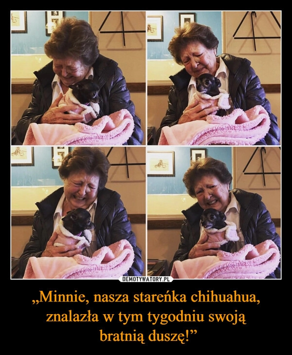 
    „Minnie, nasza stareńka chihuahua, znalazła w tym tygodniu swoją
 bratnią duszę!”