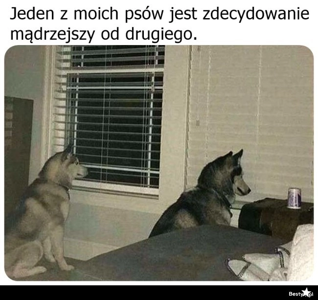 
    Nie da się ukryć 