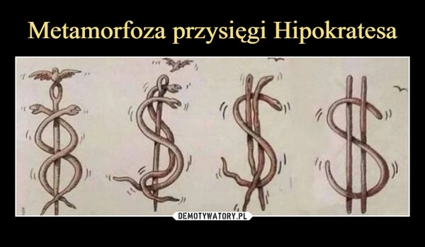 
    Metamorfoza przysięgi Hipokratesa