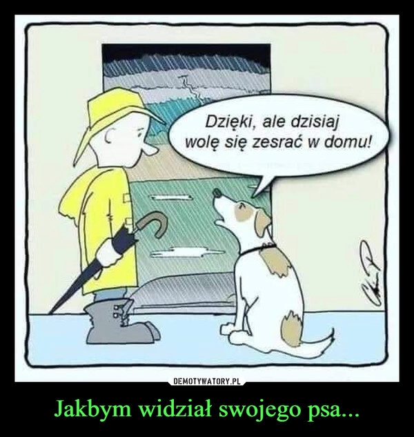 
    Jakbym widział swojego psa...