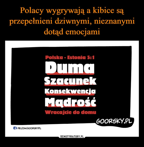 
    Polacy wygrywają a kibice są przepełnieni dziwnymi, nieznanymi dotąd emocjami