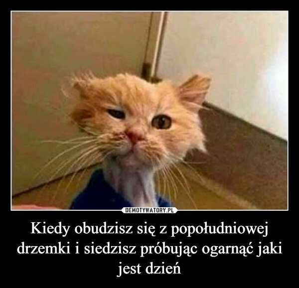 
    Kiedy obudzisz się z popołudniowej drzemki i siedzisz próbując ogarnąć jaki jest dzień