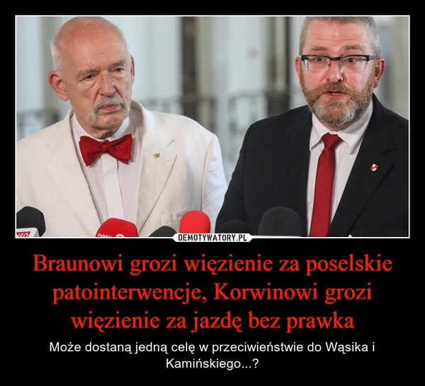 
    Braunowi grozi więzienie za poselskie patointerwencje, Korwinowi grozi więzienie za jazdę bez prawka