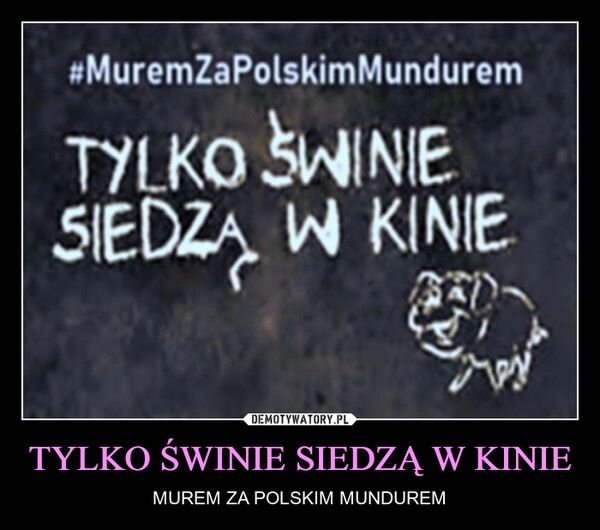 
    TYLKO ŚWINIE SIEDZĄ W KINIE