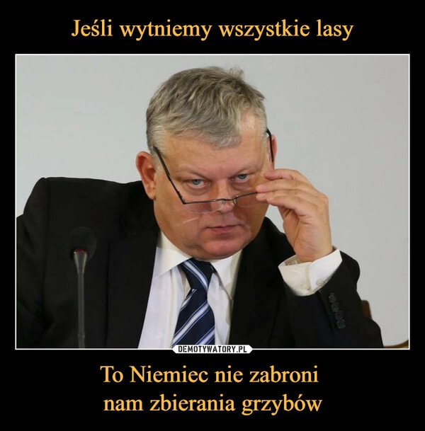 
    Jeśli wytniemy wszystkie lasy To Niemiec nie zabroni 
nam zbierania grzybów