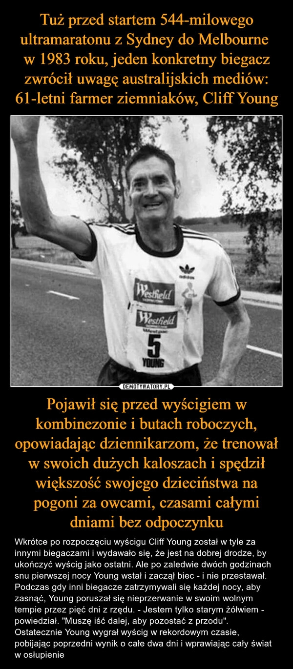 
    Tuż przed startem 544-milowego ultramaratonu z Sydney do Melbourne 
w 1983 roku, jeden konkretny biegacz zwrócił uwagę australijskich mediów: 61-letni farmer ziemniaków, Cliff Young Pojawił się przed wyścigiem w kombinezonie i butach roboczych, opowiadając dziennikarzom, że trenował w swoich dużych kaloszach i spędził większość swojego dzieciństwa na pogoni za owcami, czasami całymi dniami bez odpoczynku