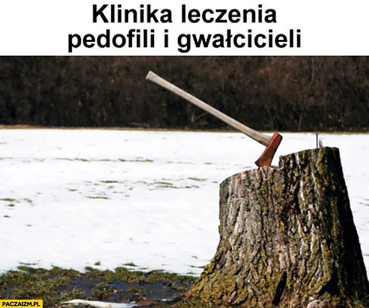 
    Klinika leczenia pedofili i gwałcicieli wbita siekiera