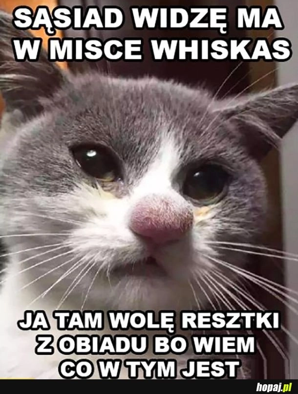 
    Sąsiad