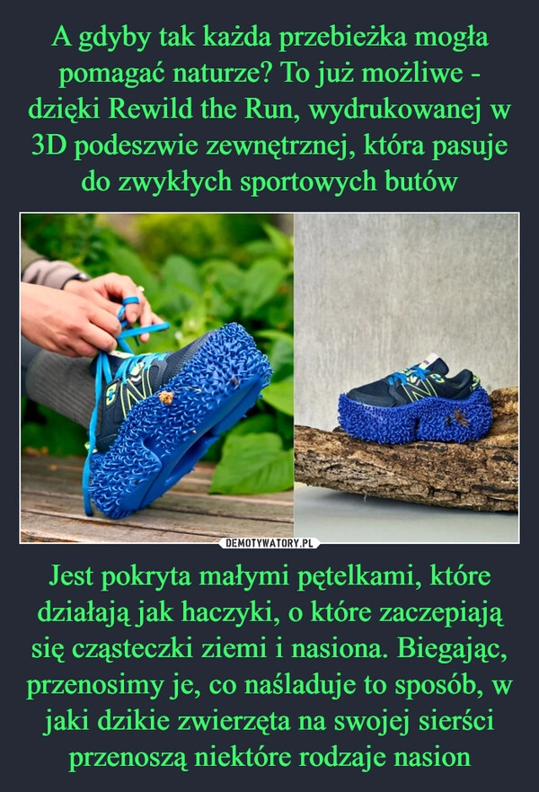 
    A gdyby tak każda przebieżka mogła pomagać naturze? To już możliwe - dzięki Rewild the Run, wydrukowanej w 3D podeszwie zewnętrznej, która pasuje do zwykłych sportowych butów Jest pokryta małymi pętelkami, które działają jak haczyki, o które zaczepiają się cząsteczki ziemi i nasiona. Biegając, przenosimy je, co naśladuje to sposób, w jaki dzikie zwierzęta na swojej sierści przenoszą niektóre rodzaje nasion