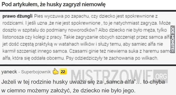 
    
			Pod artykułem, że husky zagryzł niemowlę					