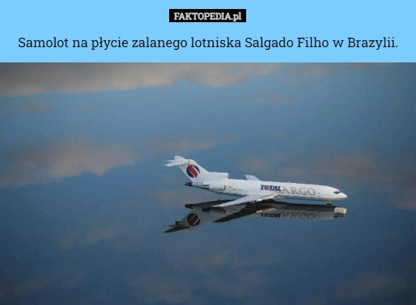 
    Samolot na płycie zalanego lotniska Salgado Filho w Brazylii.