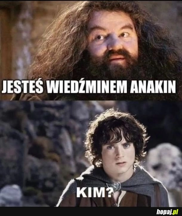 
    To on pokona Władca Ognia.