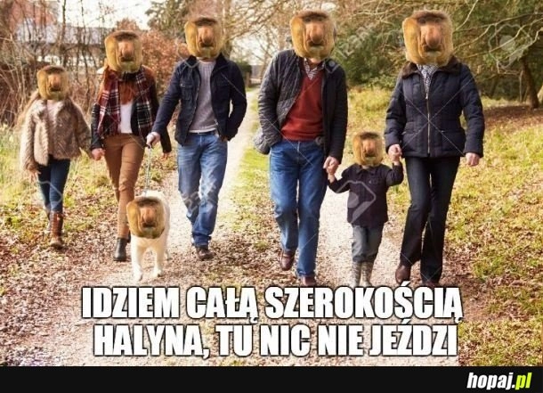 
    Cała droga dla nas