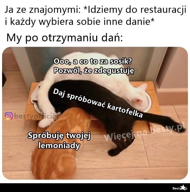 
    Co za uczta 