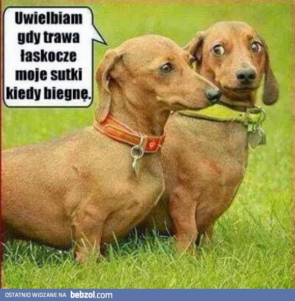 Uwielbiam to