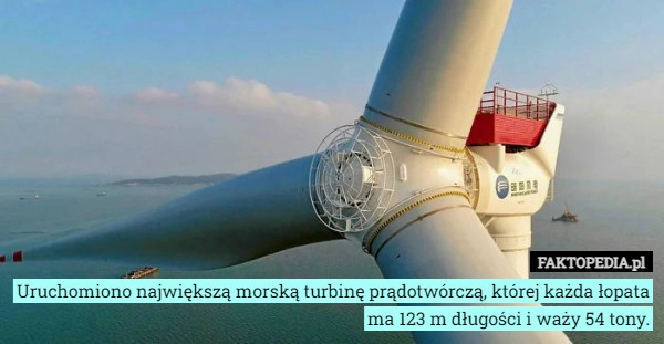 
    Uruchomiono największą morską turbinę prądotwórczą, której każda łopata