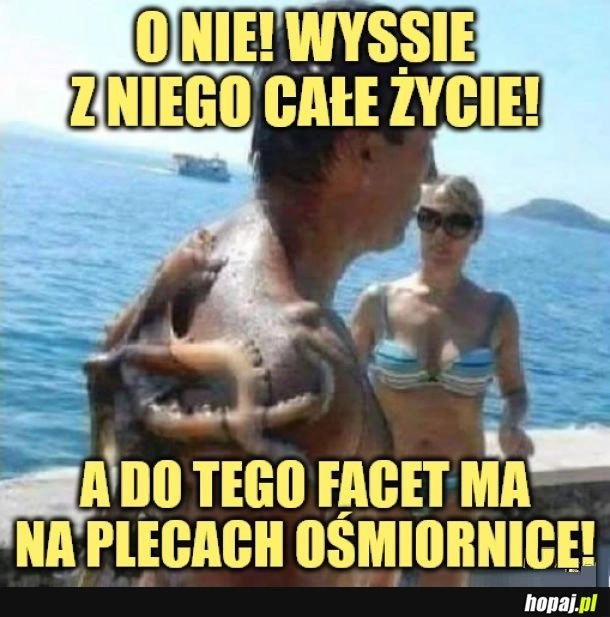 
    Ośmiornica.