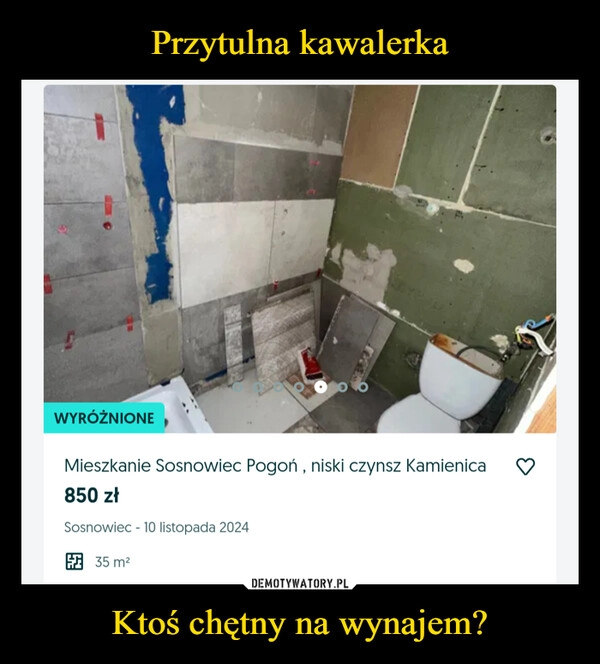 
    Przytulna kawalerka Ktoś chętny na wynajem?