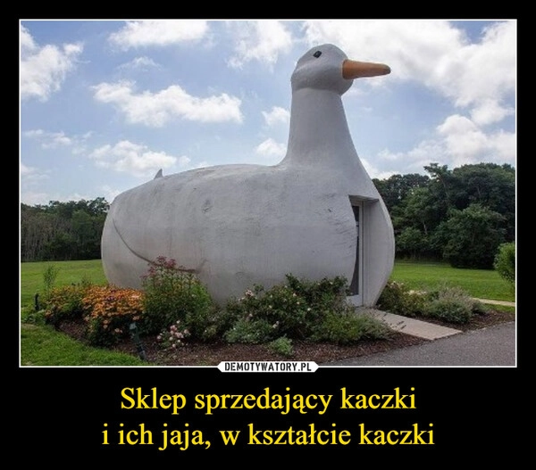 
    Sklep sprzedający kaczki
i ich jaja, w kształcie kaczki