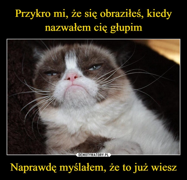 
    Przykro mi, że się obraziłeś, kiedy nazwałem cię głupim Naprawdę myślałem, że to już wiesz