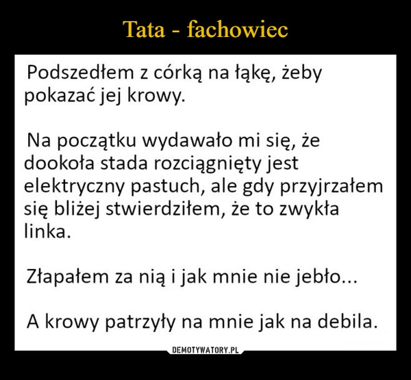 
    Tata - fachowiec