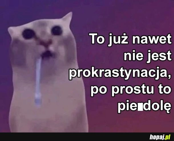 
    Prokrastgdvdb