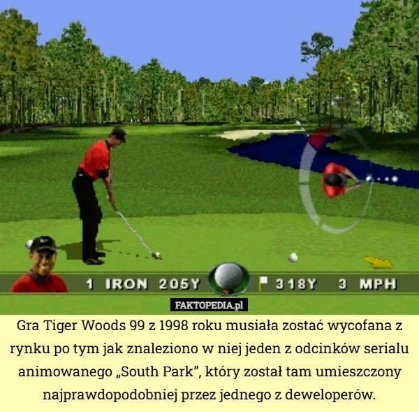Gra Tiger Woods 99 z 1998 roku musiała zostać wycofana z rynku po tym jak