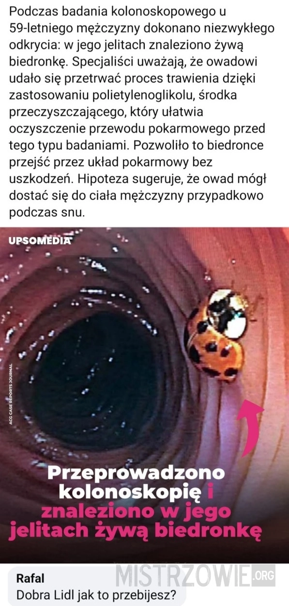 
    Kolonoskopia