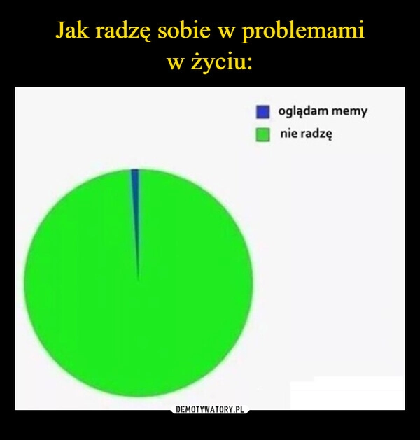 
    Jak radzę sobie w problemami
w życiu: