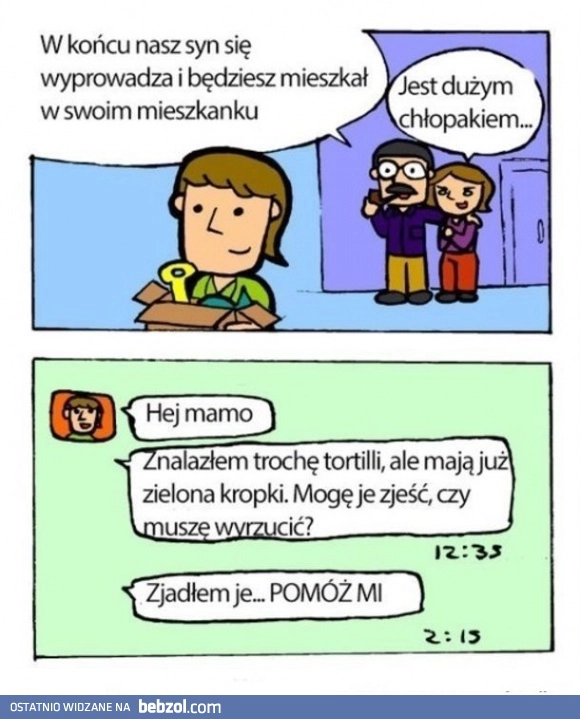 
    Wyprowadzka