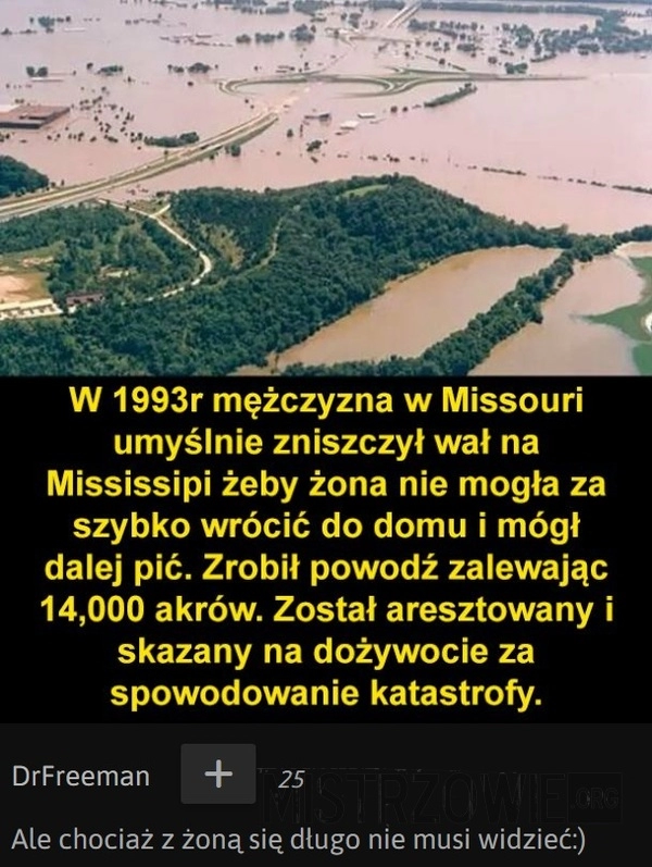 
    Wał